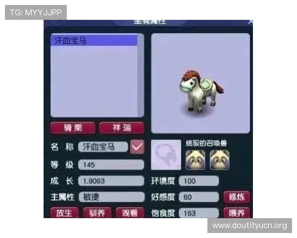 斗球小子如何快速升级提升等级的实用技巧与最佳升级路线推荐